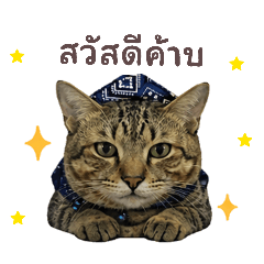 bebe_20260501183253