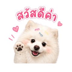 Fluffy Sushi