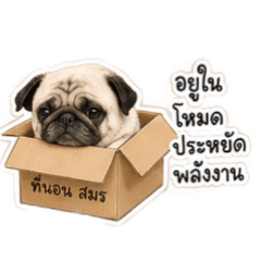 Samorn, The Pug? V.1
