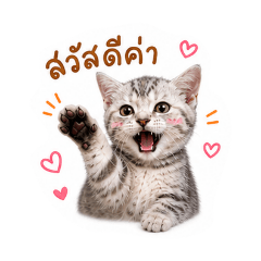Mo_20260501185528