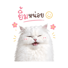 PEIIPEI