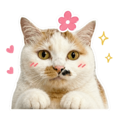 Milo Meow 1