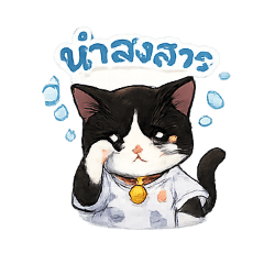 mook_20260501190724