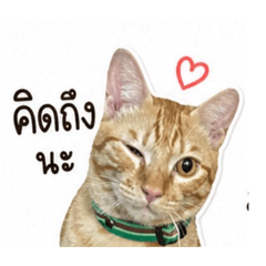 OHM_20260501191104