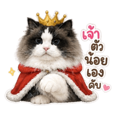 Goofy Ragdoll - Latte V.4