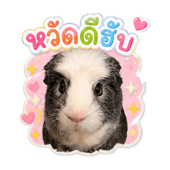 KuRoRo#1