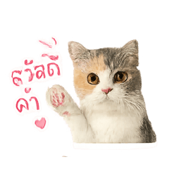 J_20260501191447