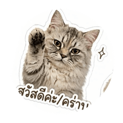 nichapa stickerline naruk_20260501191709