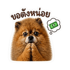 Arfong cute ver.1