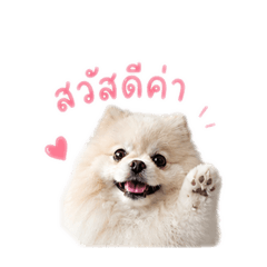 KaohomSuperPom
