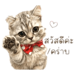 nichapa stickerline naruk_20260501192829