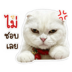 MOJI TM