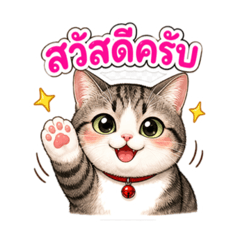 Tiger cat cute for me