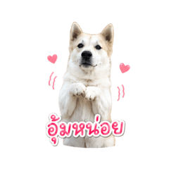 Bai-mhont