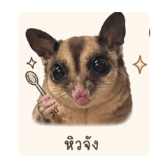 My hamster_20260501193455