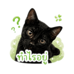 Homework_20260501193818