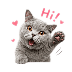 MUboytheblue