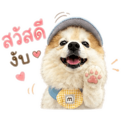 Kuma_20260501195457