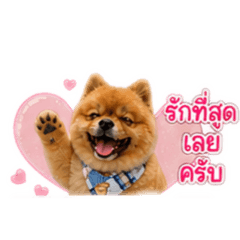 Nuinaka_20260501200148