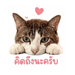 San-Ti-Suk