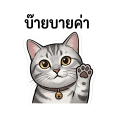 Maki the cat M-family