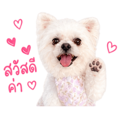 Momoji Lovely Dog