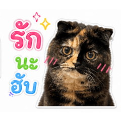 Aha_20260501202200