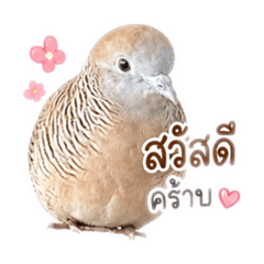 Watcharaporn._20260501202553