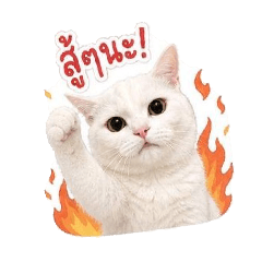 Patccha_20260501203354
