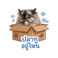 Moomiipompomcat