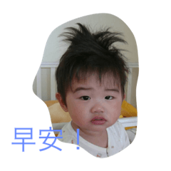 Constituent Of Crazy