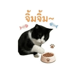 Fanrowang_20260501204725