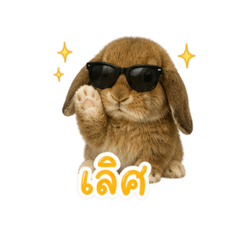 This is the bunny. Oh my God.