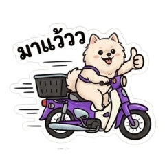 Mojii_20260501204723