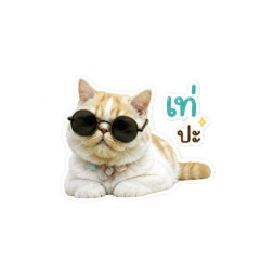 coconut_milk