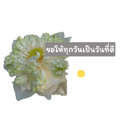 Nambeer_20260501205951