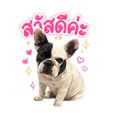 Nongtammy_20260501210324