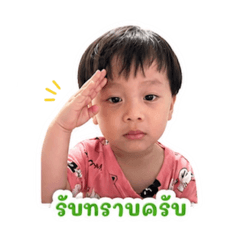 Nemo_20260501210224