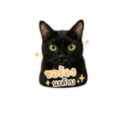 black cat kawaii mak