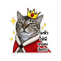 fah_20260501212202
