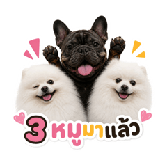 3 Mhoo Family