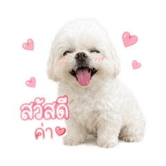 YinG_20260501214200