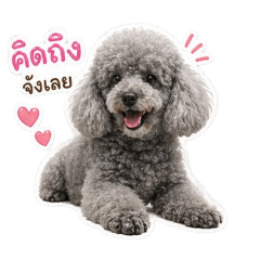 sujin_20260501214816