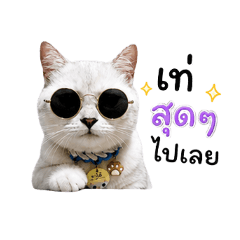 Gato the Cat V.2