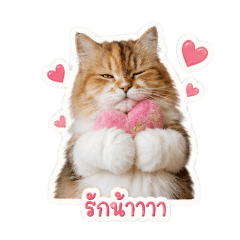 Toeyza.sticker._20260501215829