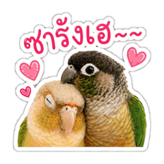 Rea_20260501220019