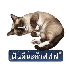chon_20260501220854