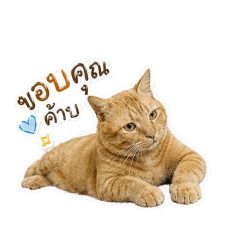sujin_20260501221620