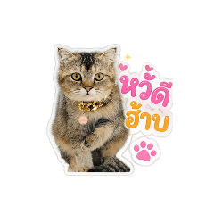 LilLy_20260501221944