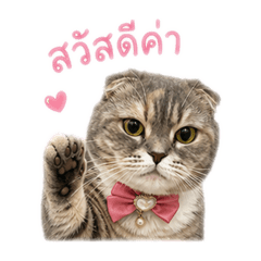 Mochi Cute Everyday Mood Sticker
